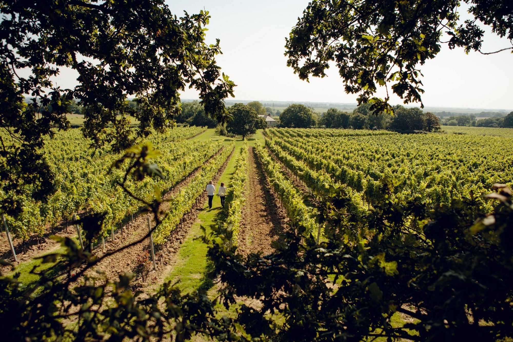 Gusbourne