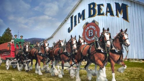 Jim Beam Budweiser