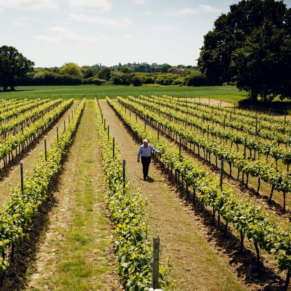 Gusbourne