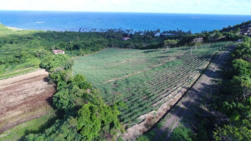Grenada