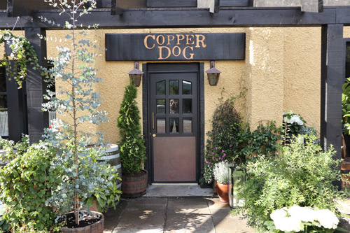 Copper Dog
