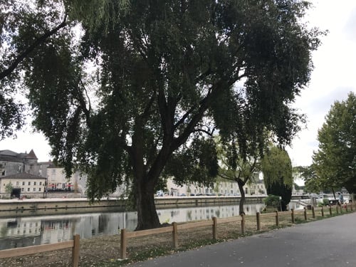 Cognac