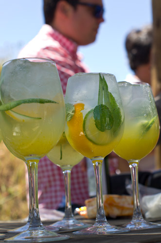 Pisco
