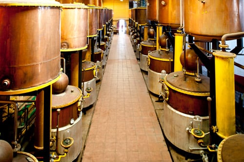 Pisco
