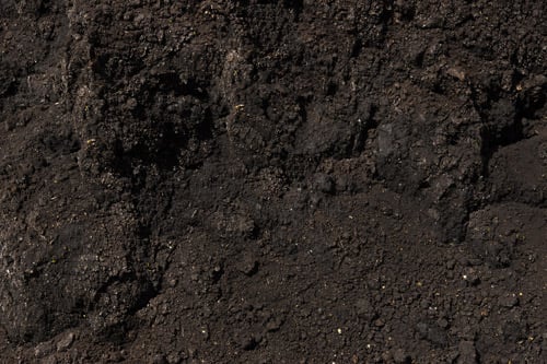 soil