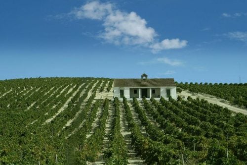 Fortified wine