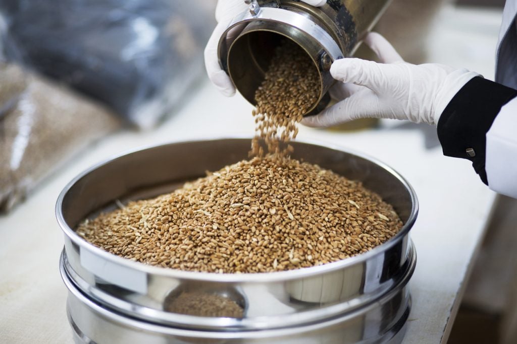 epic single grains