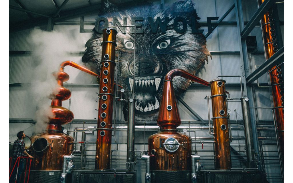 brewdog