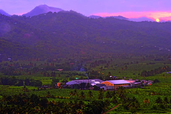 Saint Lucia Distillers