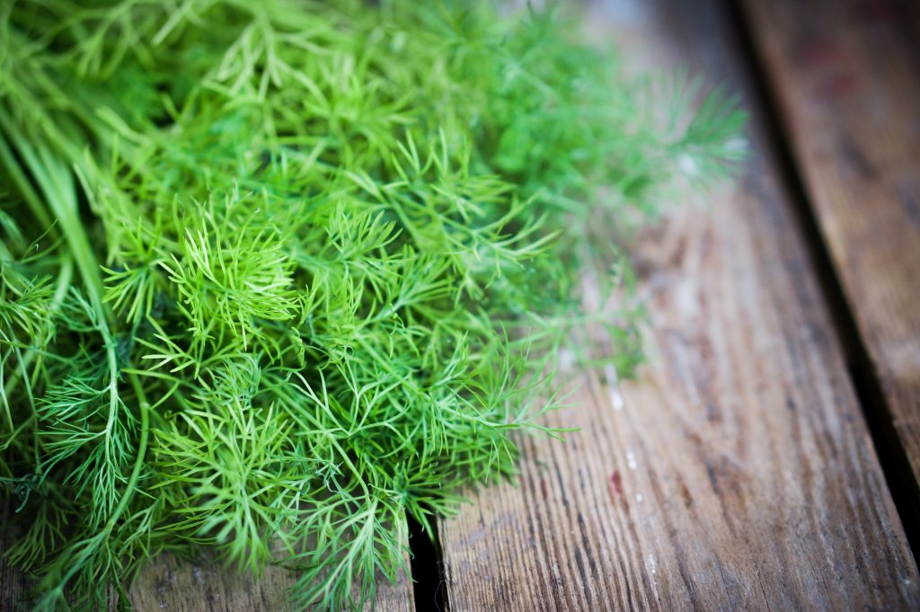 aquavit drinks trends for 2020