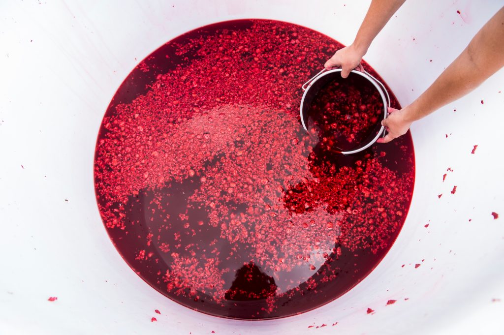 Fermented raspberries