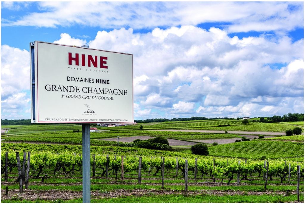 Hine's Bonneiuil vineyard in Cognac