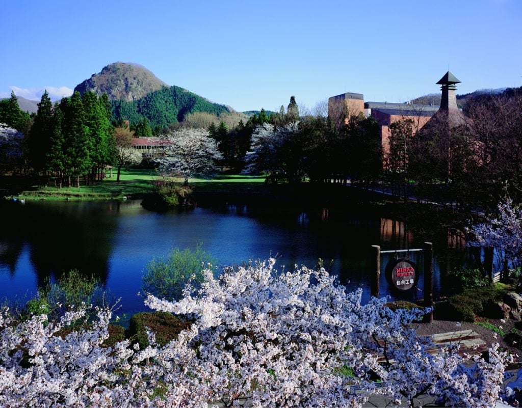 Miyagikyo Distillery - Lake Cherry Blossoms (Official Photo) (1)