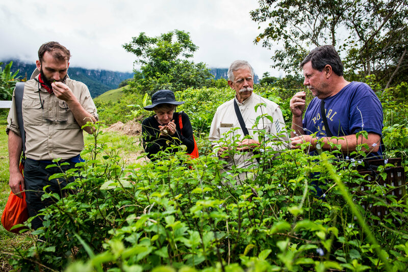 Lesley Gracie in Venezuela, Hendrick's Gin