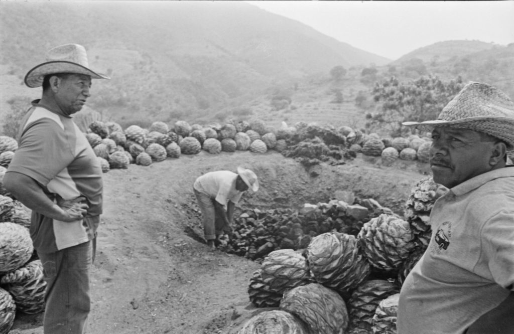 mezcal