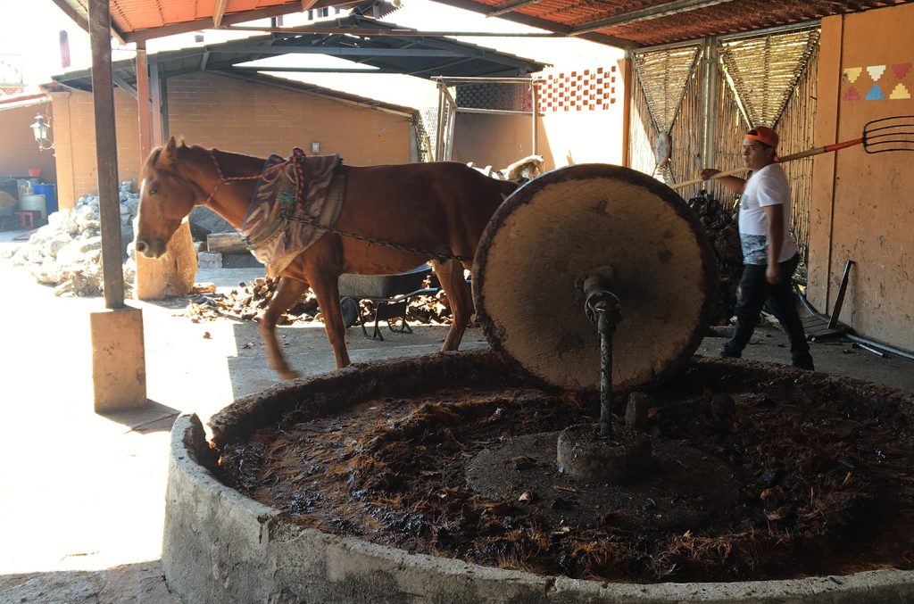 mezcal