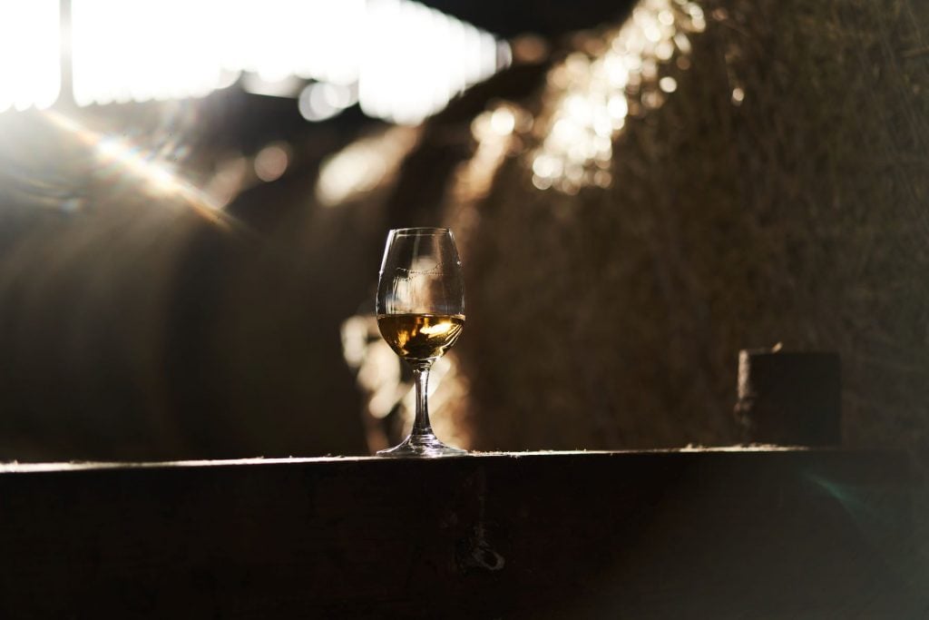 The Nightcap: 12 November