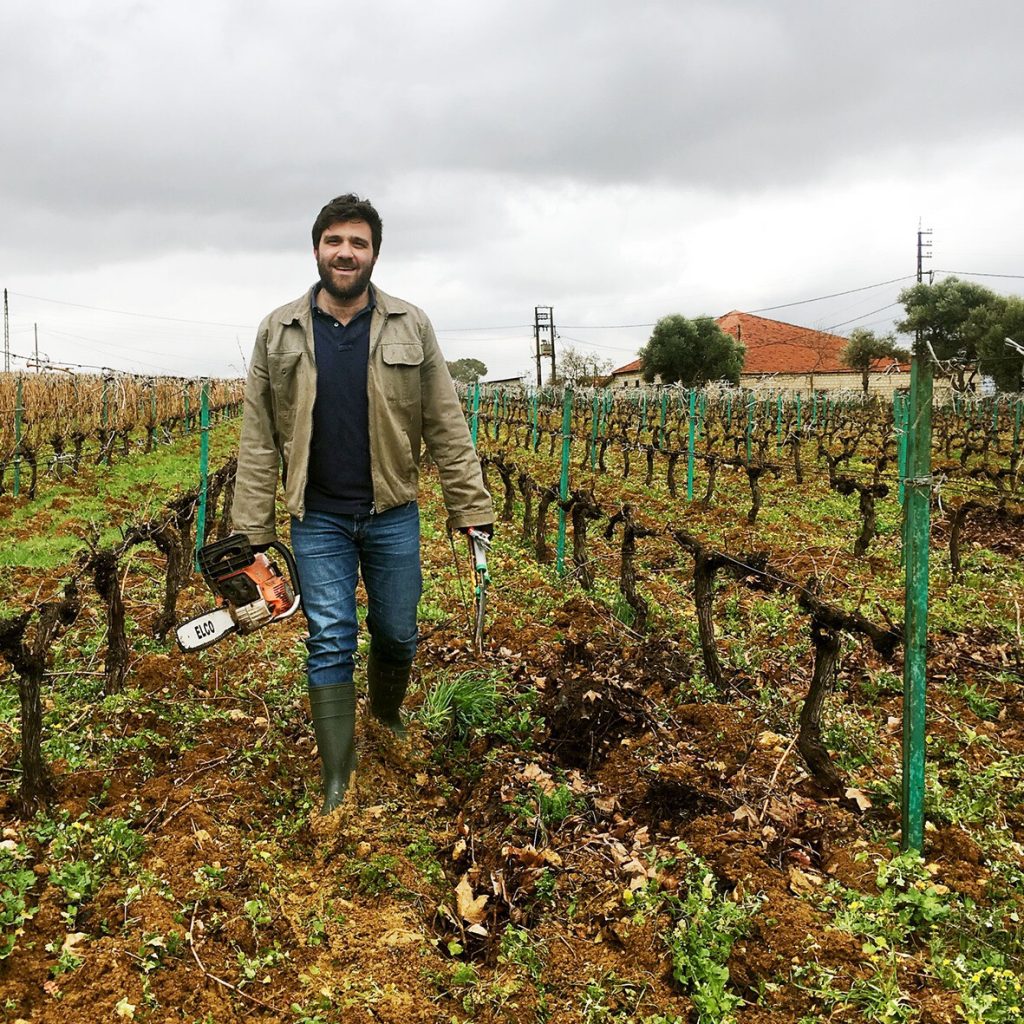 Faouzi Issa in the vineyards