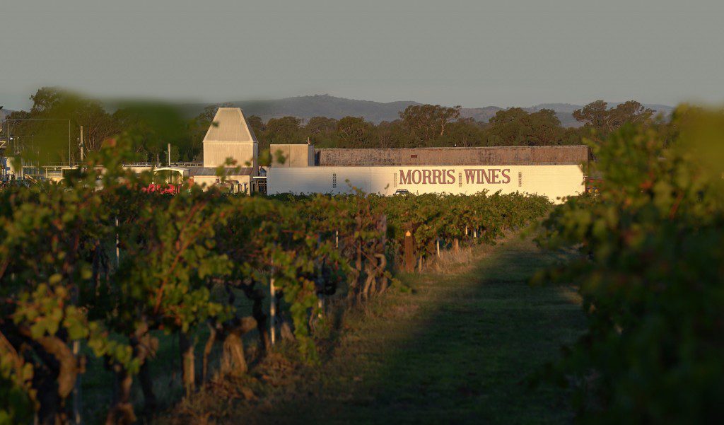 Morris Whisky