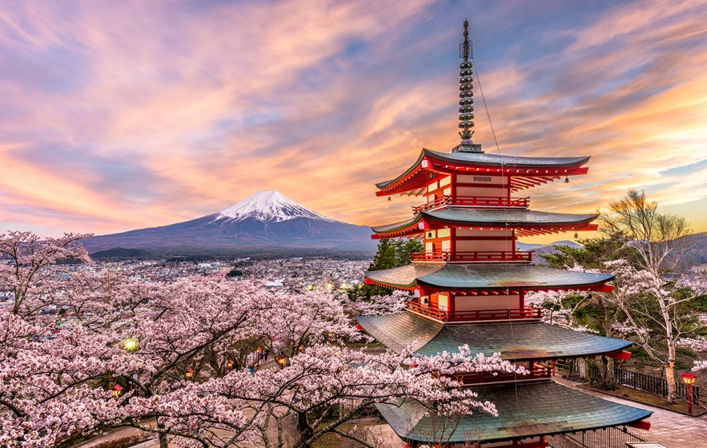 Sakura Season