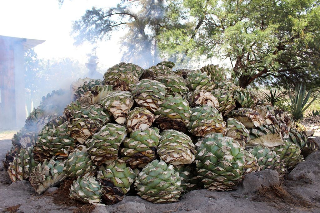 piña