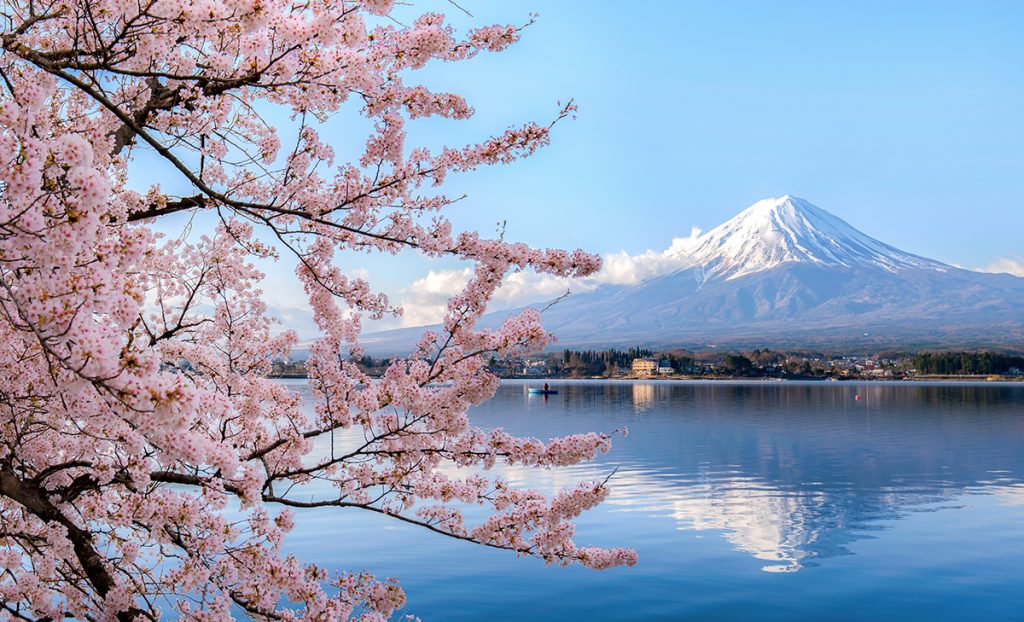 Sakura Season