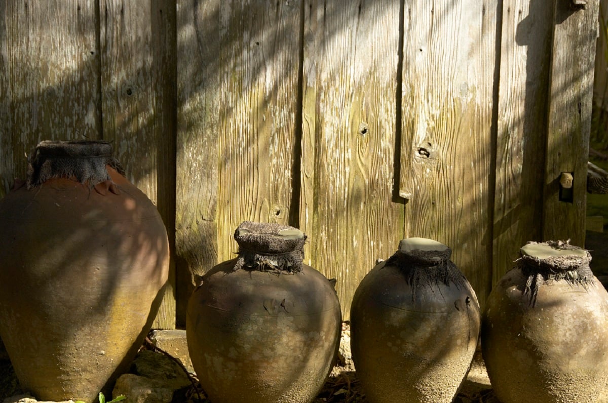 Dappled sunlight over four large clay pots standing in a row in front of a wooden wall