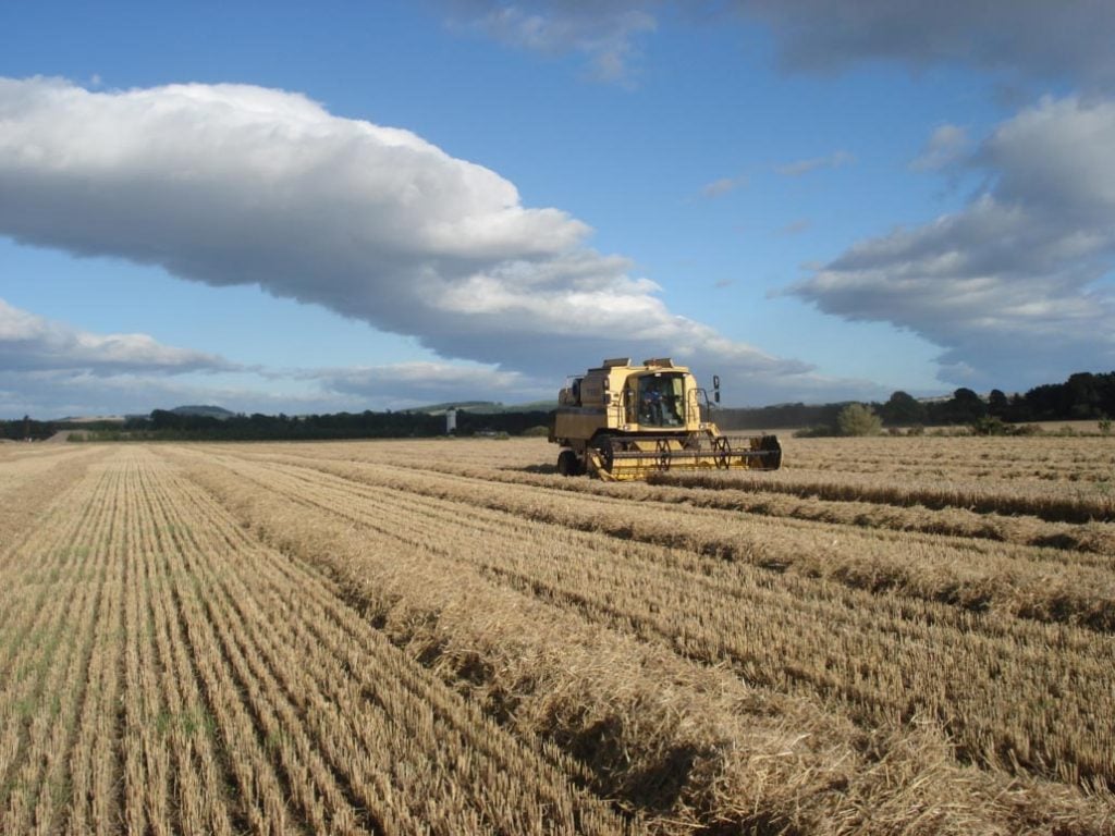 Barley for Daftmill whisky comes from the brand's own farm