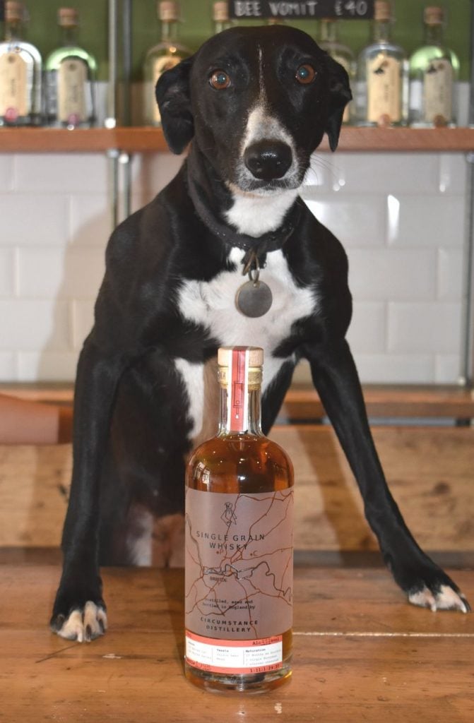 Circumstance Rye Whisky with dog.