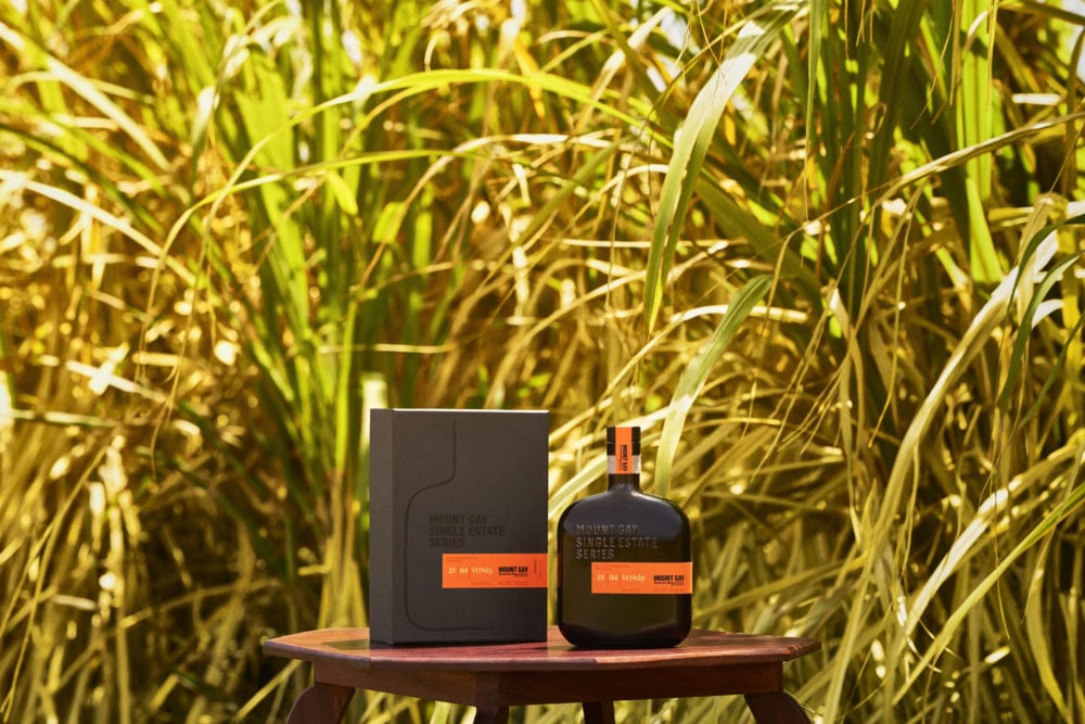 The Mount Gay Edition 3 (25_03_Vt24CF) from the Single Estate Series, pictured in a sugar cane field