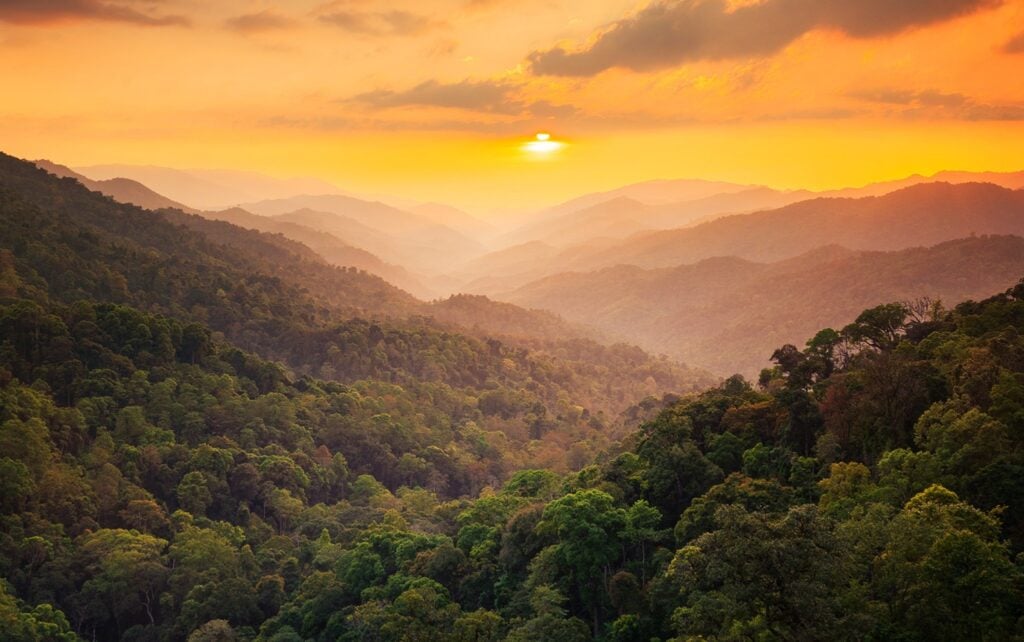The Western Forest Complex, home of Prakaan whisky
