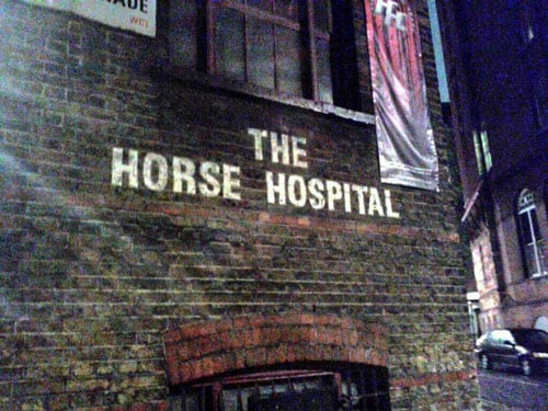 Horse Hospital