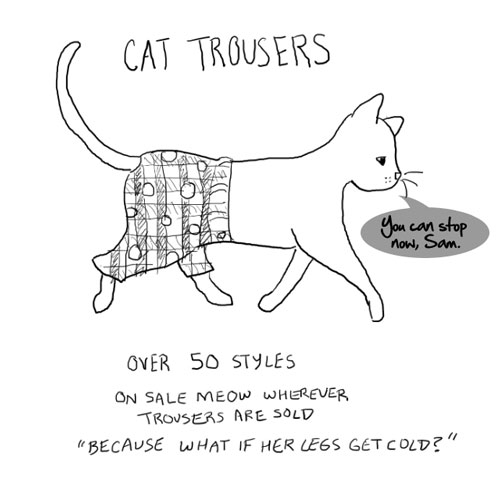 Cat in trousers