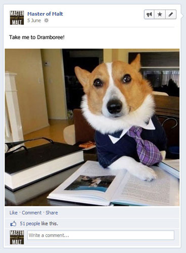 Dog in business suit