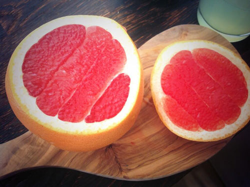 Master of Cocktails Grapefruit slice