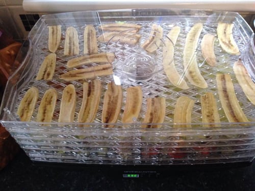 Master of Cocktails Dehydrating Bananas