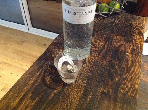 Master of Cocktails Botanist Gin