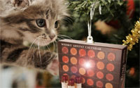 Whisky Advent Calendar Cat