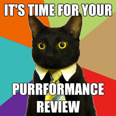 Business Cat Purrformance Review