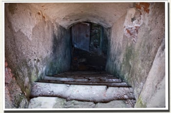 Allie Sisell's Cellar