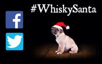 Whisky Santa Pug