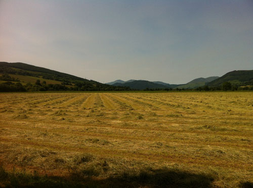aberfeldy field dramboree whisky weekend 2013.jpg