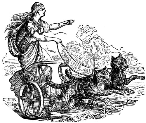 Freya cat chariot