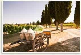 Italian Gin