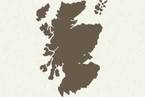 Scotch Gin