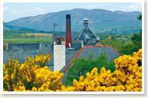 Balblair Whisky Distillery