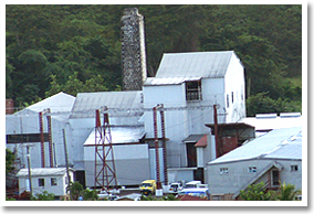 Clarkes Court Rum