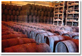 Don Papa Rum