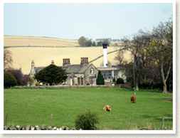 Glendronach Whisky Distillery