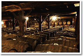 Janneau Armagnac Distillery